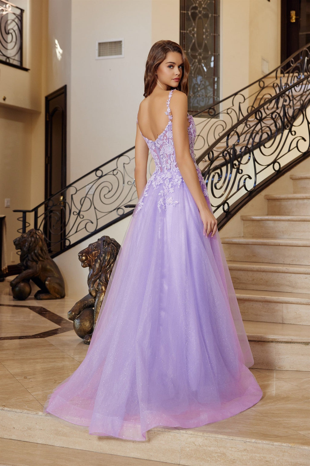 Regal Refined Shimmering Illusion plunging neck Gown for Evening Celebration NXR1824