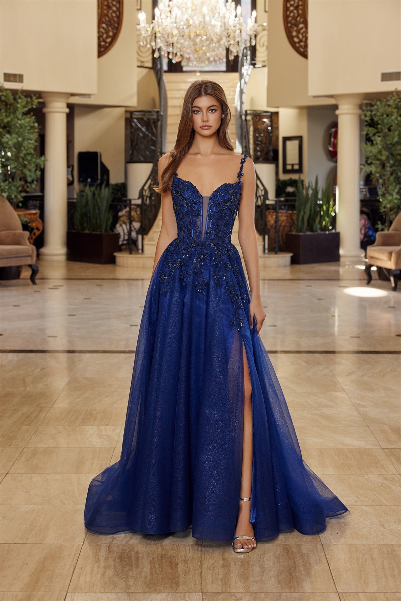 Regal Refined Shimmering Illusion plunging neck Gown for Evening Celebration NXR1824