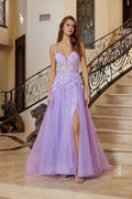 Regal Refined Shimmering Illusion plunging neck Gown for Evening Celebration NXR1824