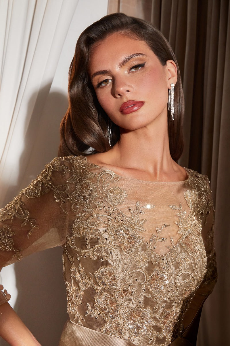 Elegant Embellished Formal Long Special Occasion Gown Detailed CDCDS569